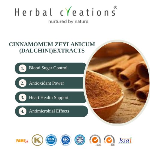 Cinnamomum zeylanicum(Dalchini) Extracts Supplier & Manufacturer